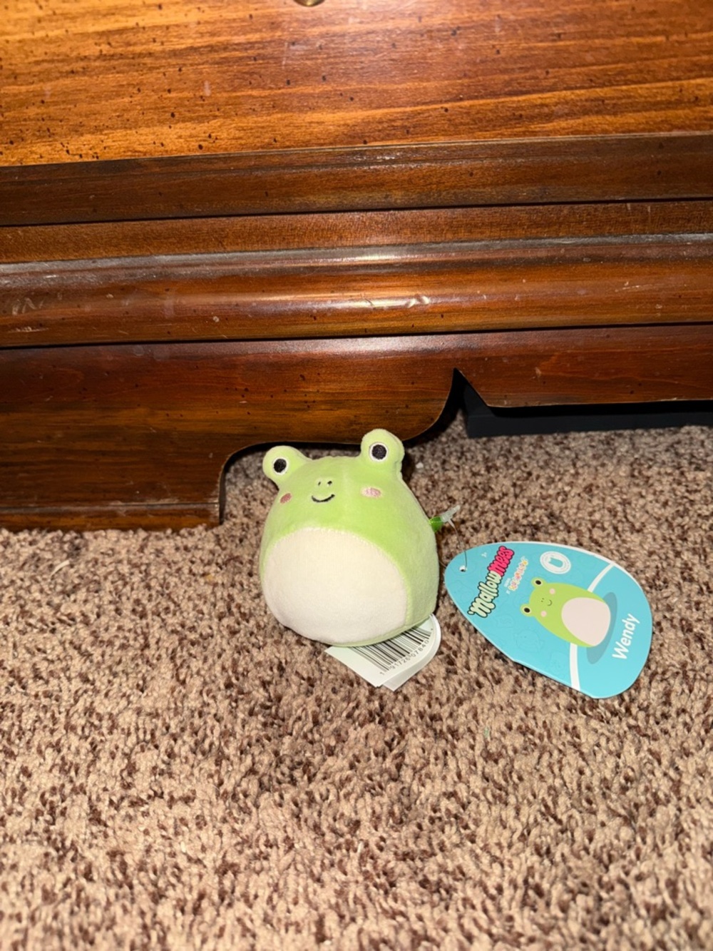 Squishmallow Mallowmees Wendy The Frog Squishy Brand New!